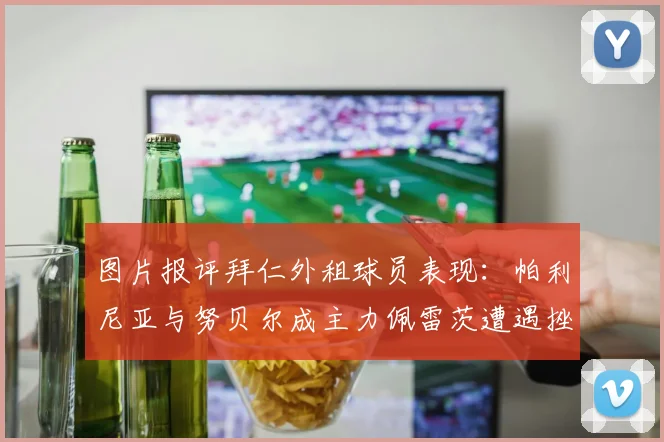 图片报评拜仁外租球员表现：帕利尼亚与努贝尔成主力佩雷茨遭遇挫折