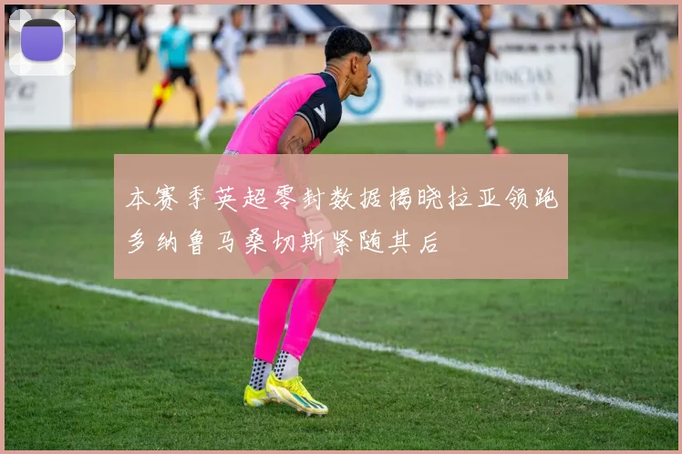 本赛季英超零封数据揭晓拉亚领跑多纳鲁马桑切斯紧随其后