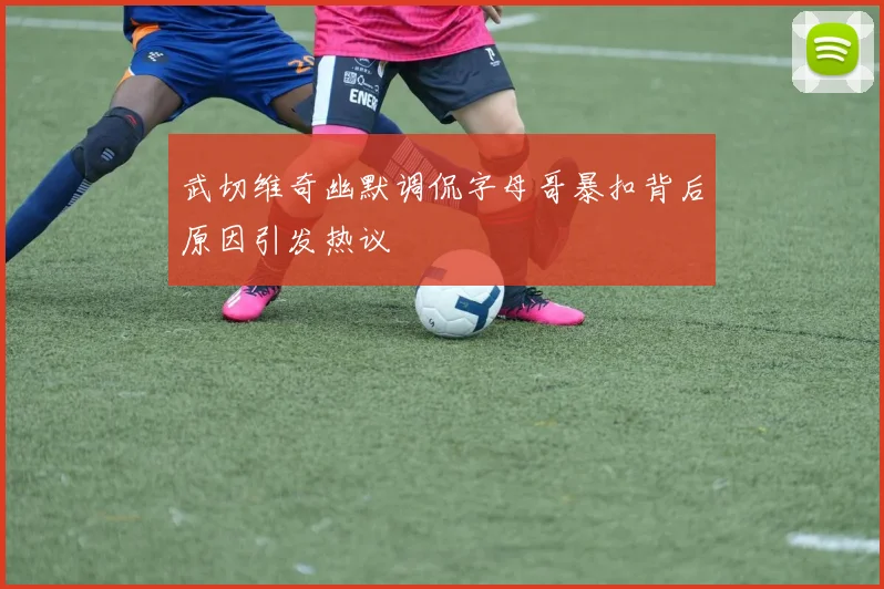 武切维奇幽默调侃字母哥暴扣背后原因引发热议